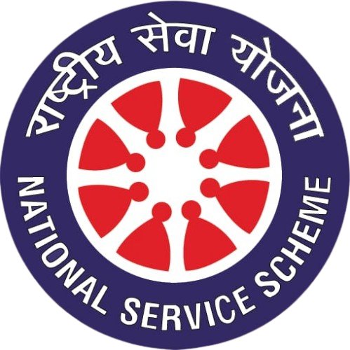 NSS Logo